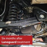 Lanoguard Vehicle Underbody and Chassis Care Kit